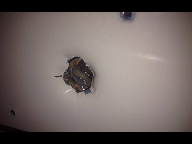Best of bri briones's gallery mack and ronni onlyfans asuman demir add photo glory hole in bathroom