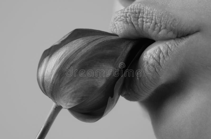 hot sucking strapon tube hot sucking