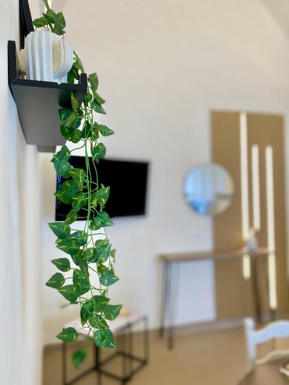 christopher najarian recommends ivy stelle pic