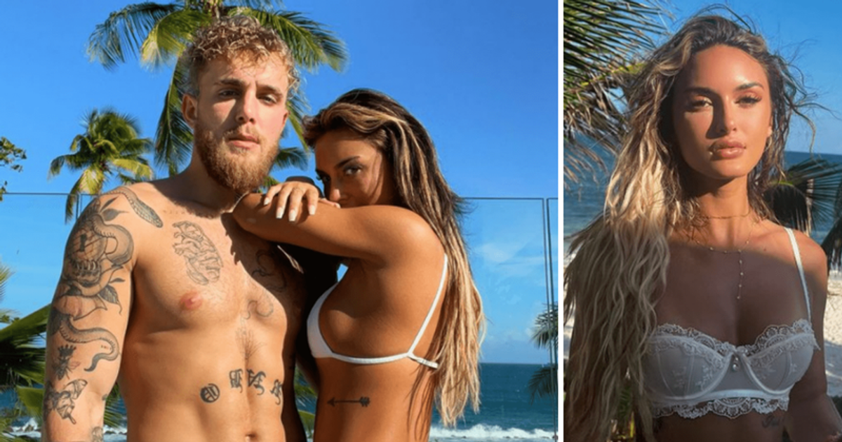 daniel ensign like jake paul porn photo ahmed samak recommends jake paul porn pic
