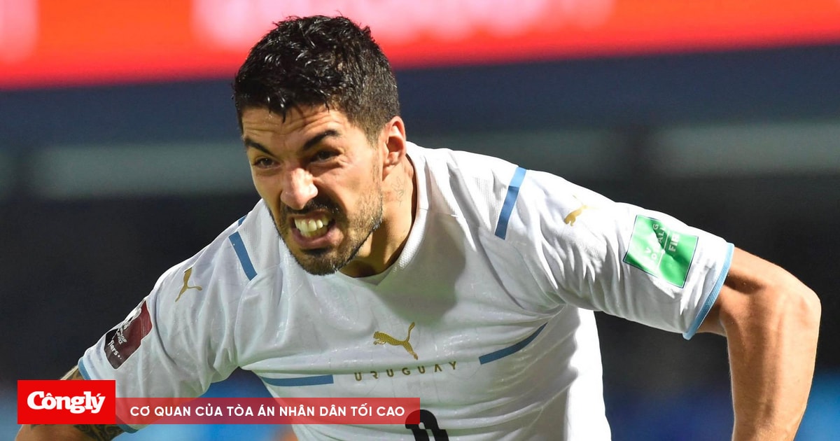 Best of Laysi suarez
