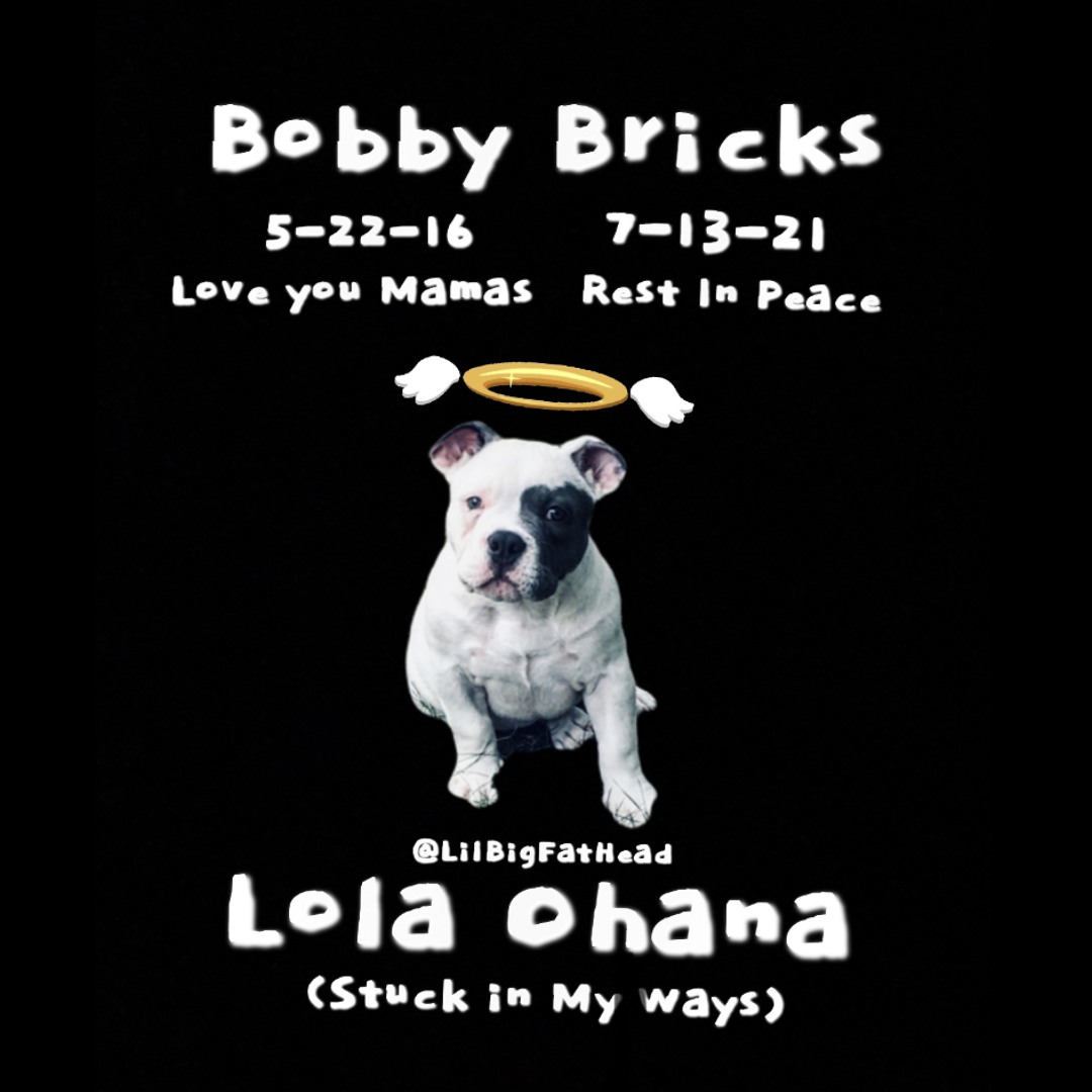 arielle hunter share lola bricks photos