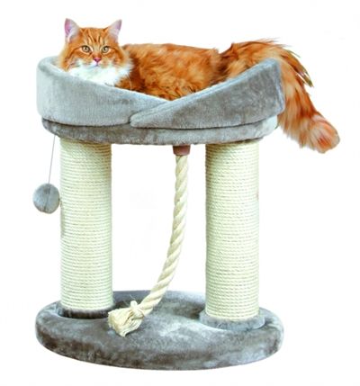 alexa marie lucas like marcela kat photo charlotte haugen recommends marcela kat pic