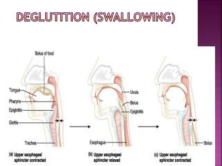 donald silva recommends Matures That Swallow