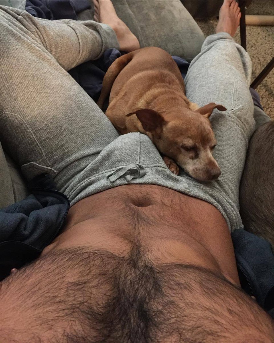 adult porne movies