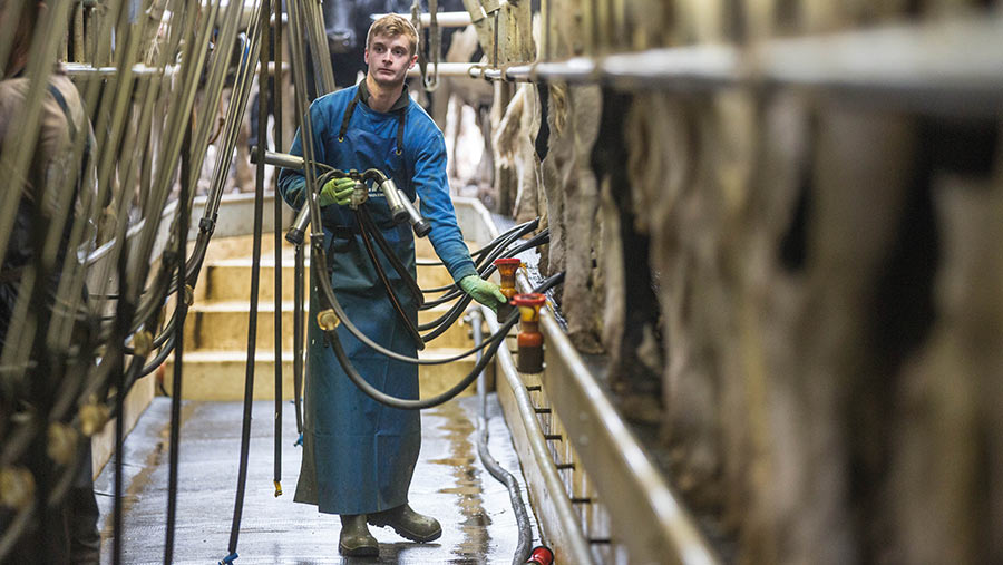 Milked Busted the tracker chiew fong recommends Milked Busted