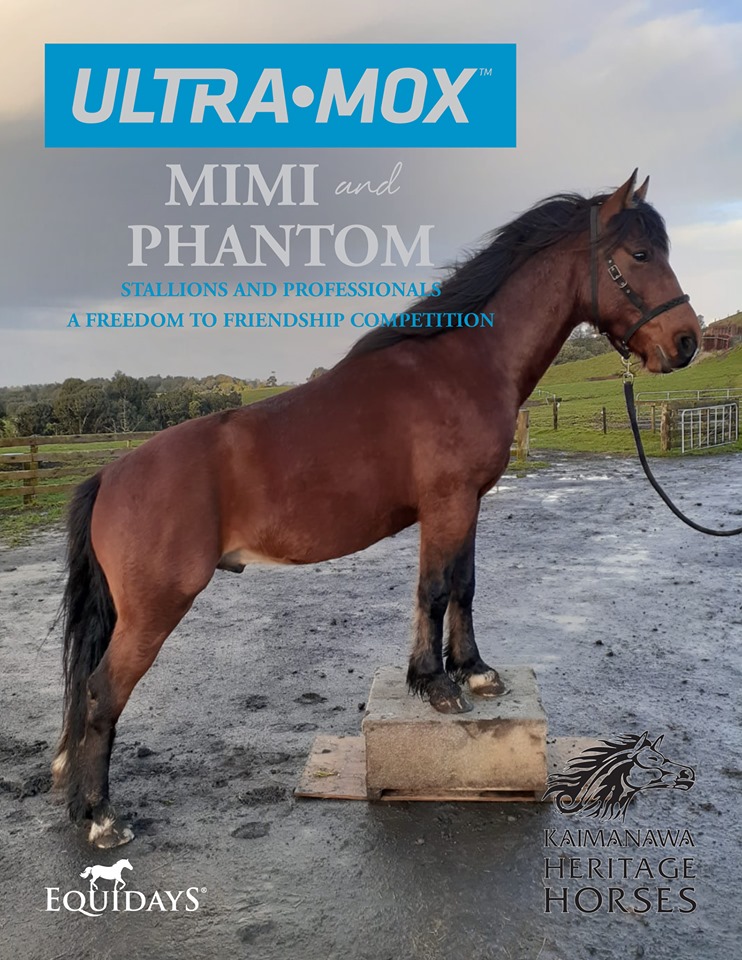 Best of Mimi the stallion