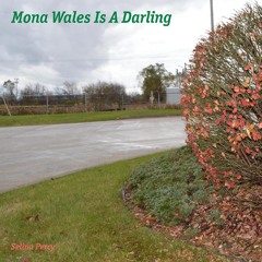 mona wales doctor service replacement mona wales doctor