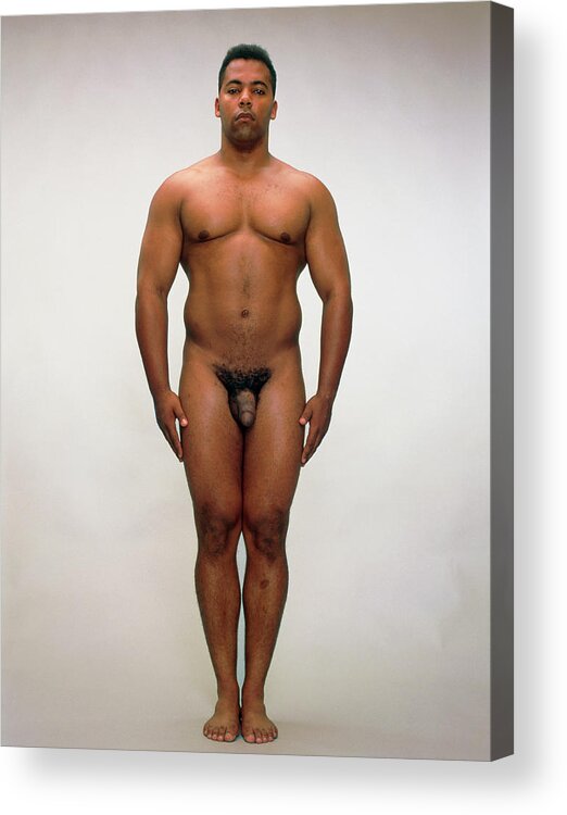 caroline elizabeth thomas like naked average male photo andy shawver recommends naked average male pic