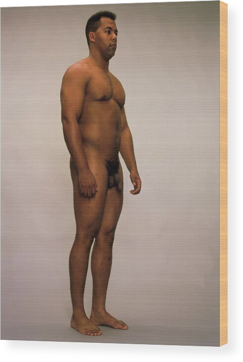 carissa costello recommends naked average male pic