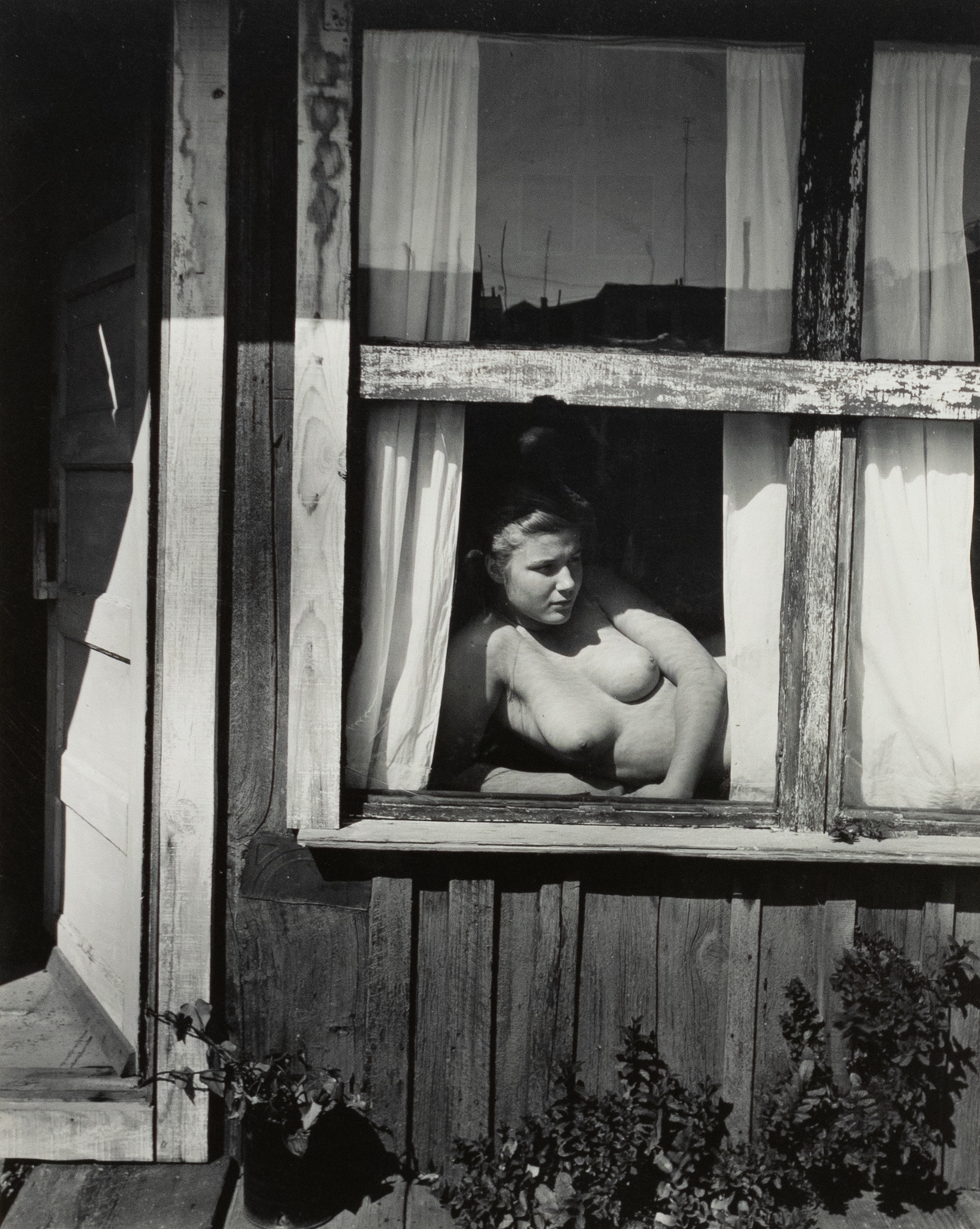 chris mitro share naked by window photos
