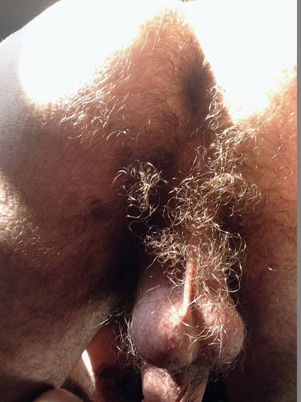 naked hairy balls - nudes a poping lunch break quickie