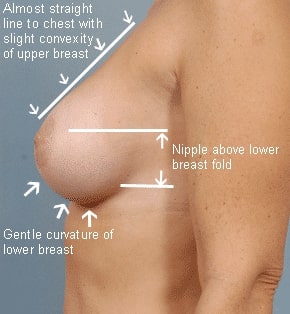 carol stengel recommends Nice Natural Boobies