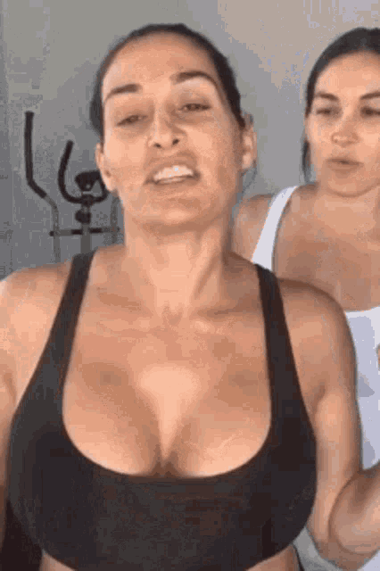 amber plessinger like nikki bella tities photo atsushi mori recommends nikki bella tities pic