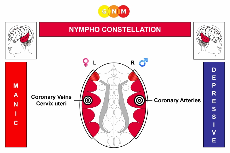 cory rosauer recommends Nympho Pics
