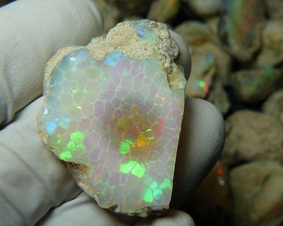arie syahrial recommends opal porn daniel riego add opal porn photo