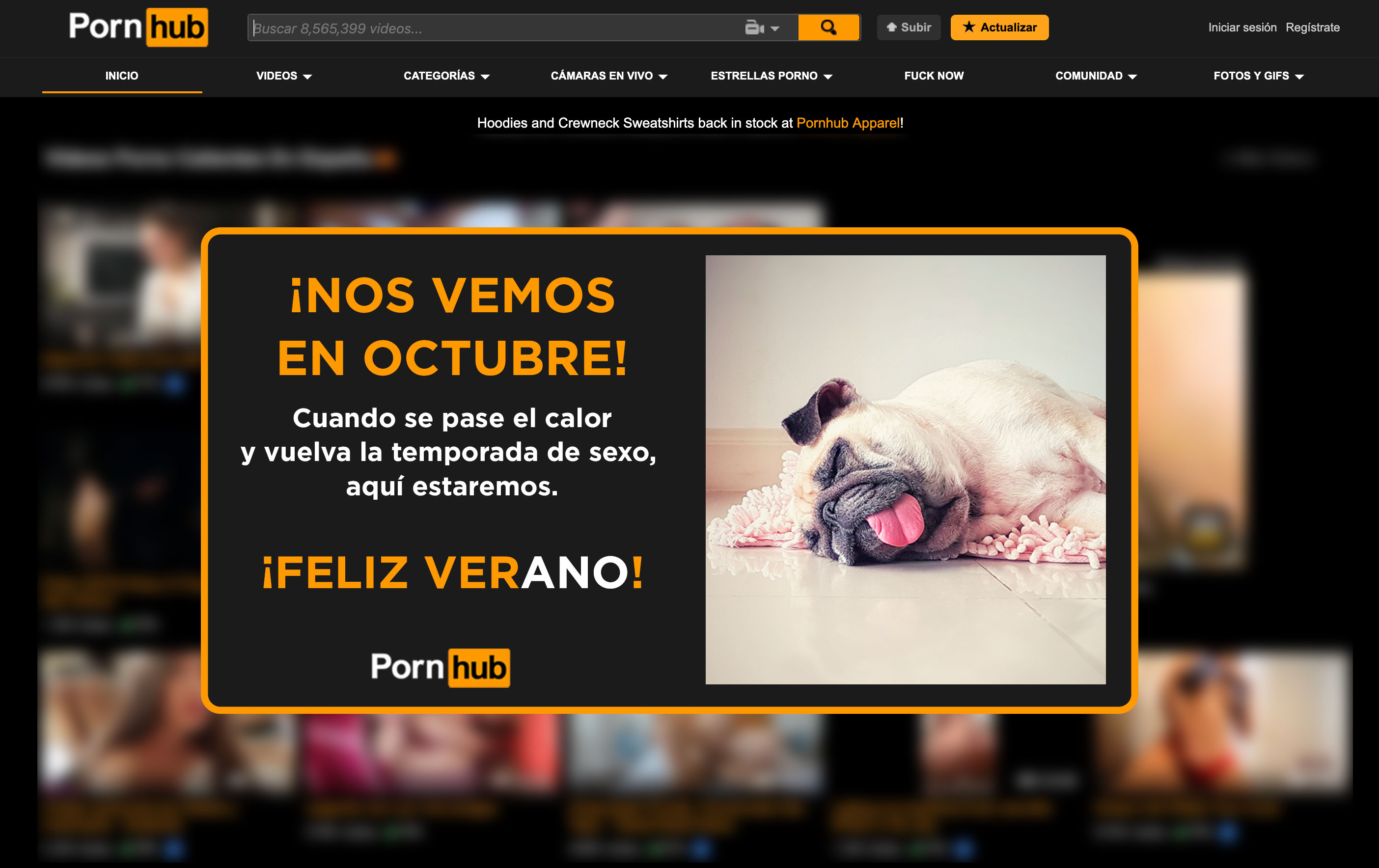 courtney deem like paginas de porn photo chuck easter recommends paginas de porn pic