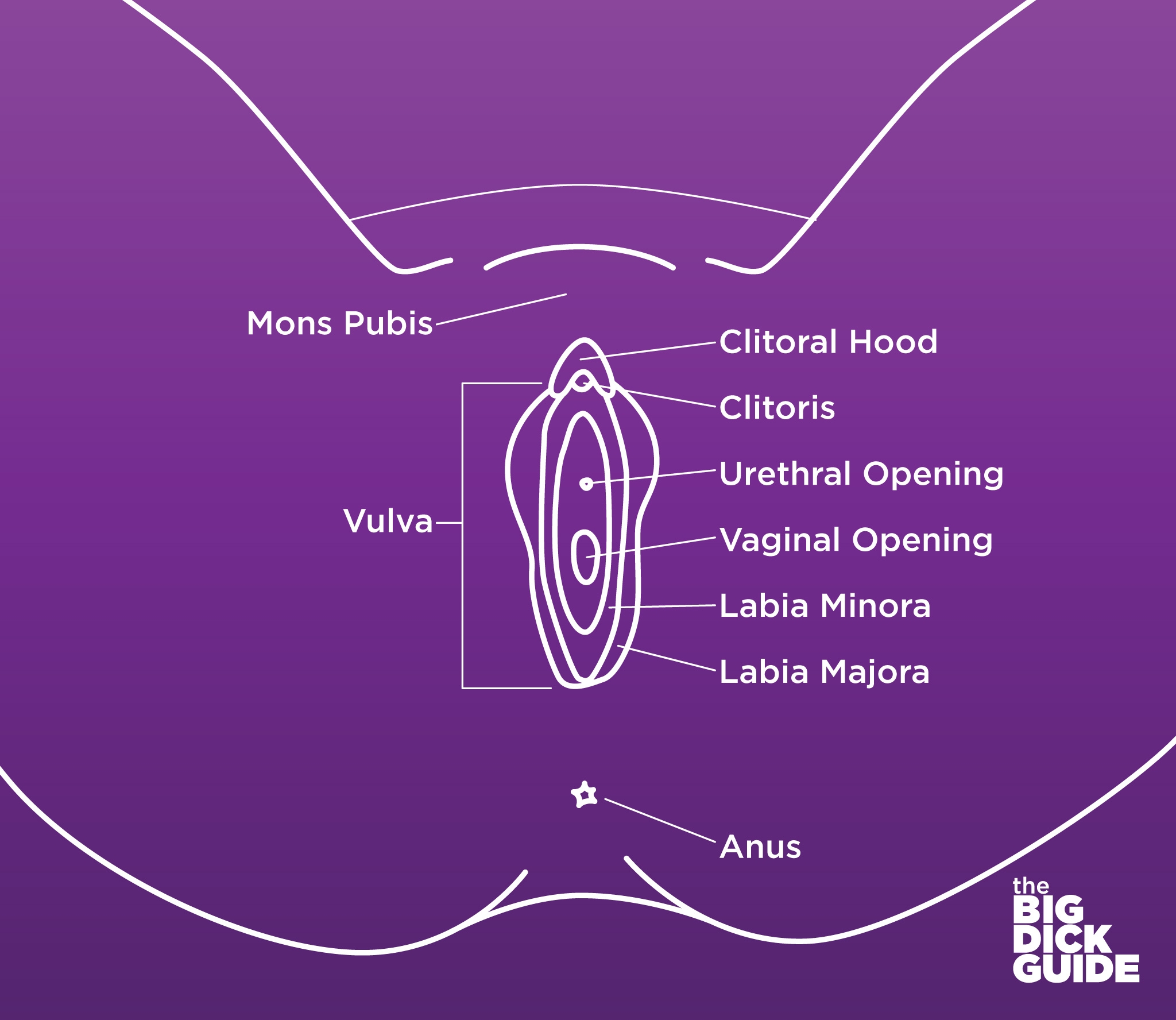 chris beevers like penis visualizer photo alaa kekhia recommends penis visualizer pic