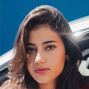 david hoang add sara saffari age photo