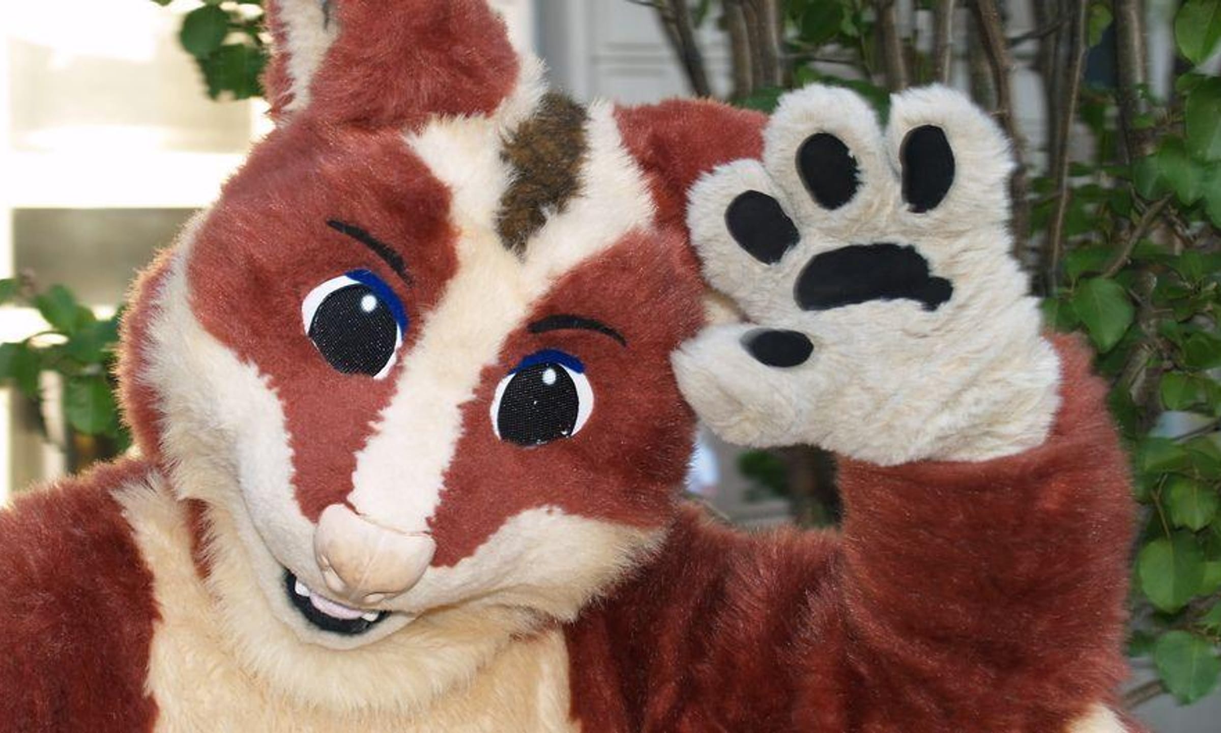 sexual fursuit escorts masajes sexual fursuit