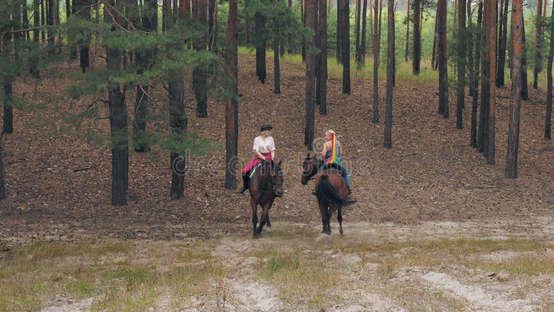 Best of Sexxx in forest