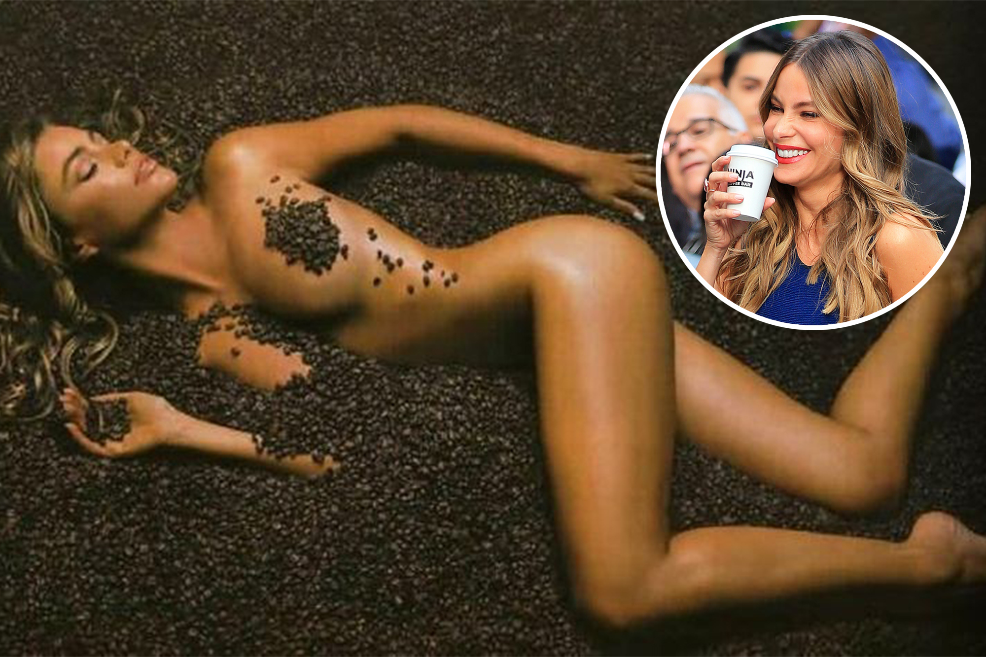 dan balek recommends sofia vergara nude naked pic