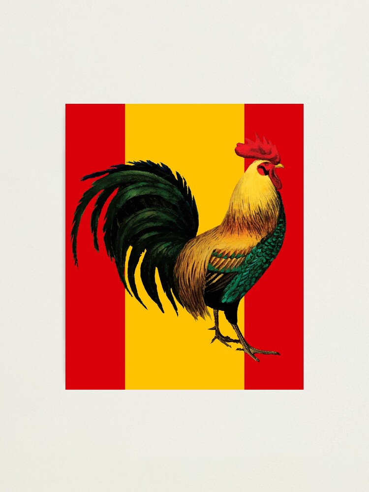 spanish for cock girls outside spanish for cock