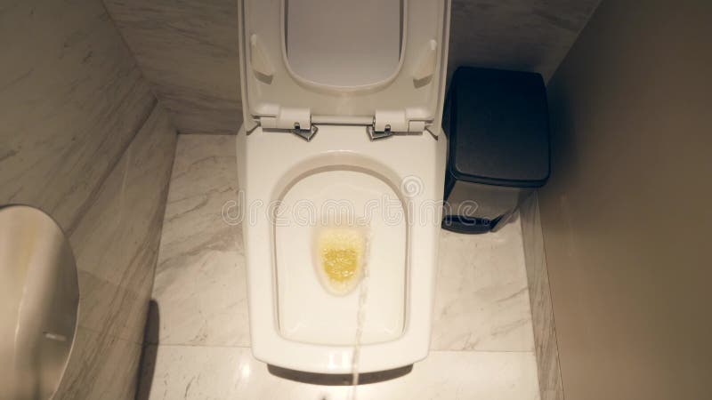 chandler diehl recommends Toilet Cam Pee