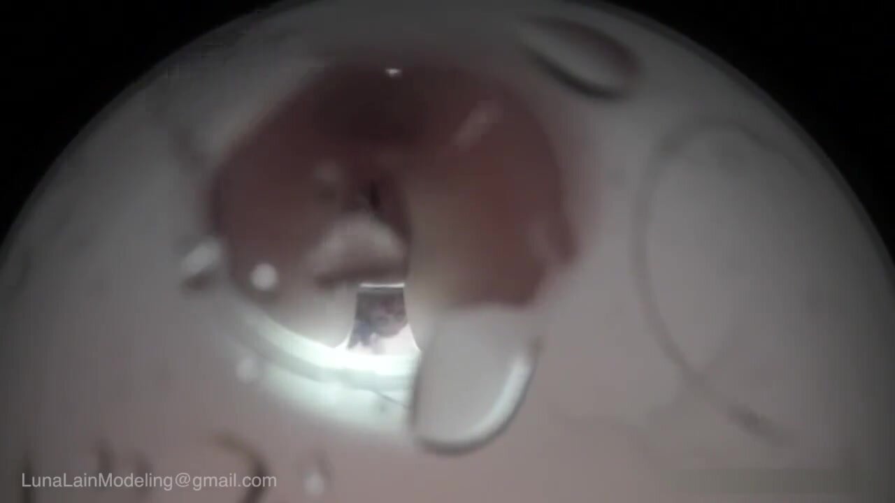 Best of anfas mohamed's gallery hillary hooterz deb walford add photo toilet slave pov