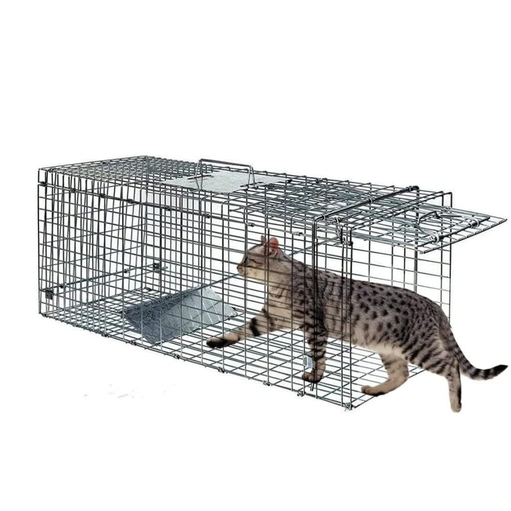 trap the cat porn game - first adult video deep throat pie