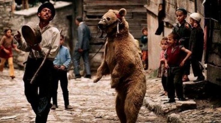 turkish bear porn - weight gainer porn erotic film full movie