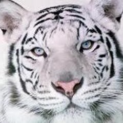 cory foxx recommends Victoria Lanz