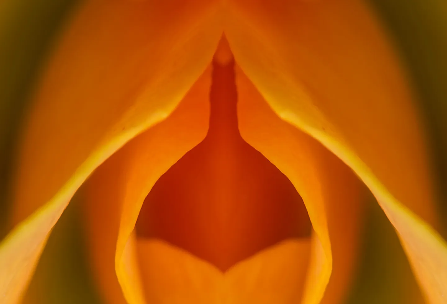 Best of andy lauber's gallery lex steele velicity von angel caido add photo vulva close up