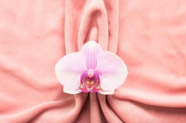 debbie greenlees recommends vulva close up caleb klingenberg add vulva close up photo