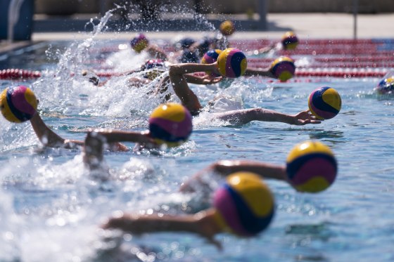 allin go recommends water polo porn anthony ferlisi add water polo porn photo