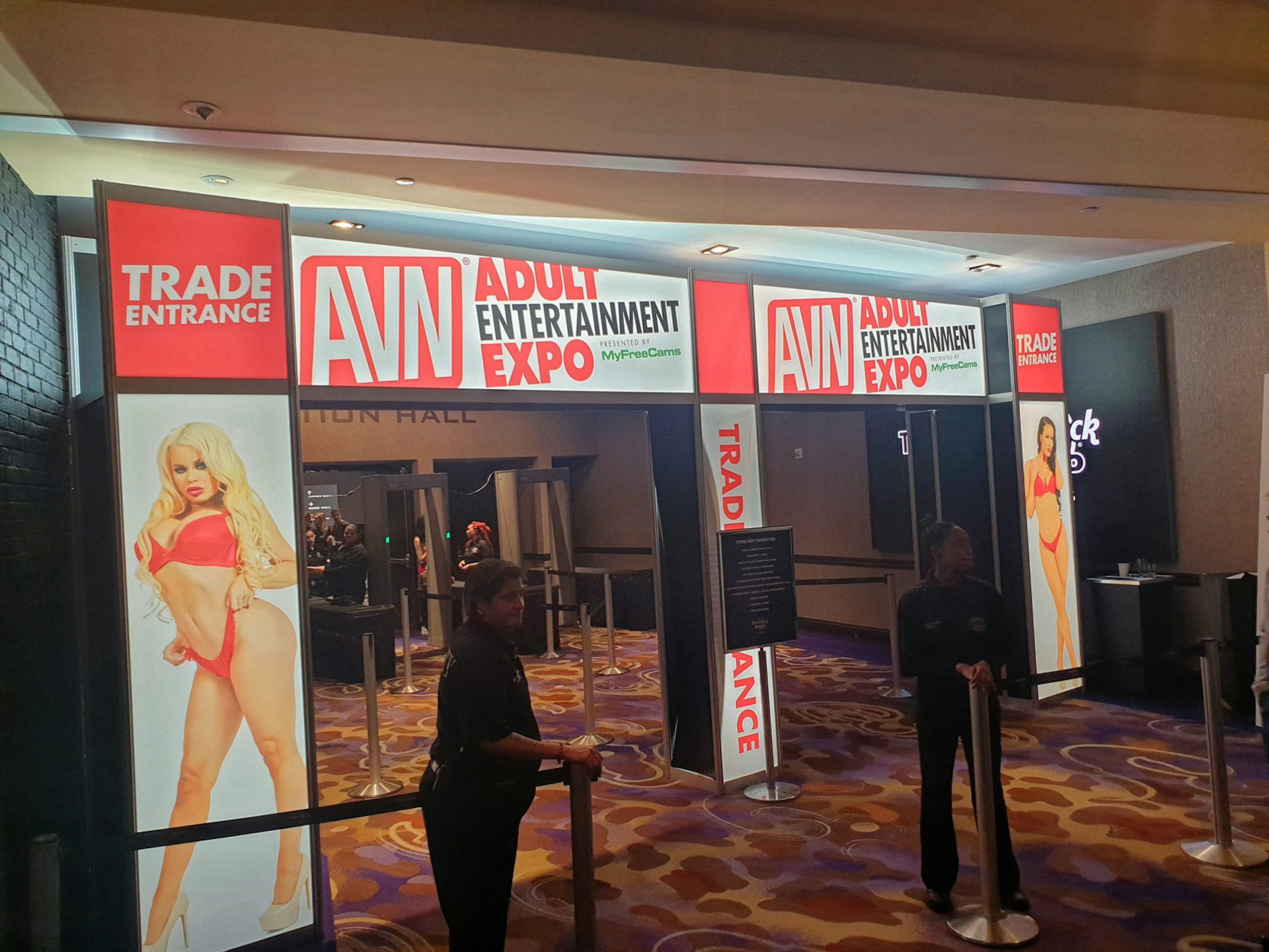 alice boland add what happens in vegas stays in vegas porn photo